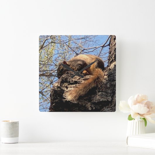 Squirrel Clock Quadratische Wanduhr (Zuhause)