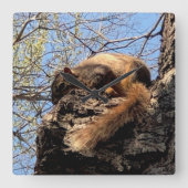 Squirrel Clock Quadratische Wanduhr (Vorderseite)