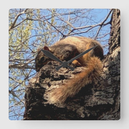 Squirrel Clock Quadratische Wanduhr