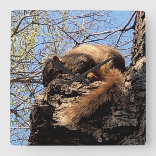 Squirrel Clock Quadratische Wanduhr (Vorderseite)