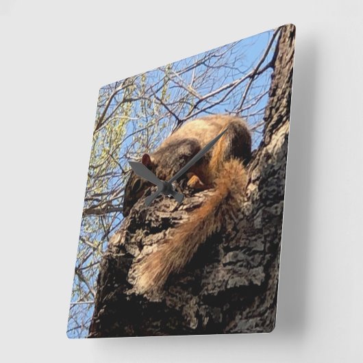 Squirrel Clock Quadratische Wanduhr (Winkel)