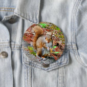 Squirrel Eating Food Button (Beispiel)