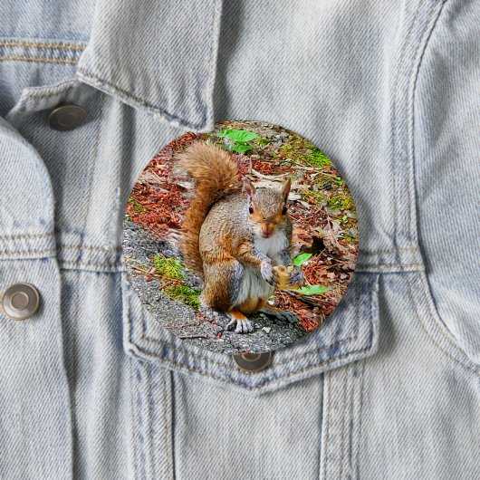 Squirrel Eating Food Button (Beispiel)