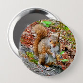 Squirrel Eating Food Button (Vorne & Hinten)