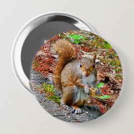Squirrel Eating Food Button