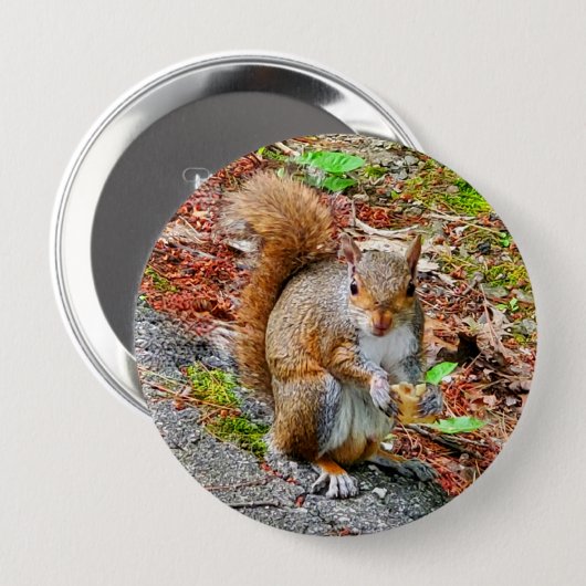 Squirrel Eating Food Button (Vorne & Hinten)