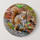 Squirrel Eating Food Button (Vorderseite)