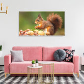 squirrel eating nut leinwanddruck (Insitu (Wohnzimmer))