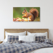 squirrel eating nut leinwanddruck (Insitu (Schlafzimmer))