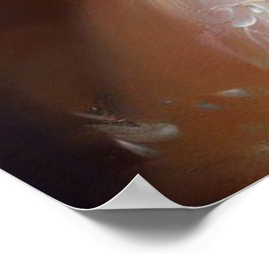 Squirrel Fairy Poster (Ecke)