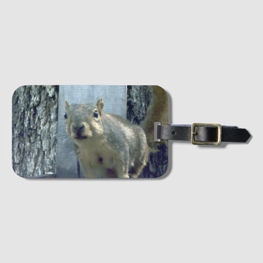 Squirrel gepäckanhänger (Vorderseite (Horizontal))