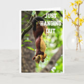 SQUIRREL HAT SICH HERAUSGEGEBEN, UM GLÜCKLICH "GEB KARTE (Gelbe Blume)