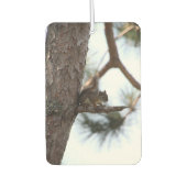 Squirrel in a Pine Tree Autolufterfrischer (Vorderseite)