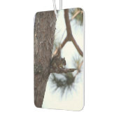 Squirrel in a Pine Tree Autolufterfrischer (Links)