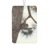 Squirrel in a Pine Tree Autolufterfrischer (Rückseite)