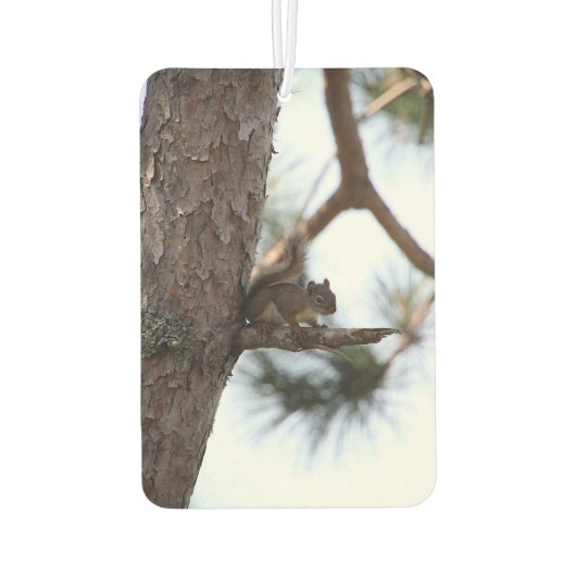 Squirrel in a Pine Tree Autolufterfrischer (Rückseite)