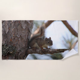 Squirrel in a Pine Tree Beach Towel Strandtuch
