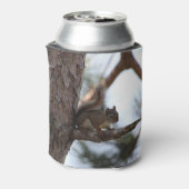 Squirrel in a Pine Tree Dosenkühler (Kanne Rückseite)