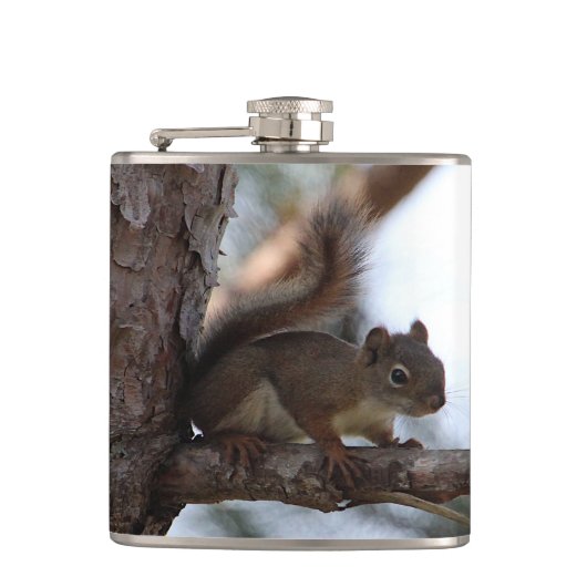 Squirrel in a Pine Tree Flachmann (Vorderseite)