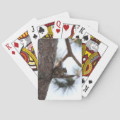 Squirrel in a Pine Tree Playing Cards Spielkarten (Rückseite)