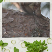 Squirrel in a Pine Tree Towel Geschirrtuch (Gefaltet)