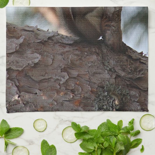 Squirrel in a Pine Tree Towel Geschirrtuch (Gefaltet)