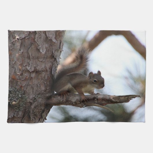 Squirrel in a Pine Tree Towel Geschirrtuch (Horizontal)