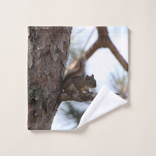 Squirrel in a Pine Tree Towel Set (Waschlappen)