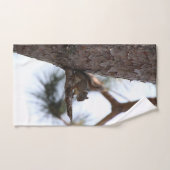 Squirrel in a Pine Tree Towel Set (Handtuch)