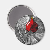 Squirrel in Christmas Tree Magnet (Vorderseite/Rückseite)