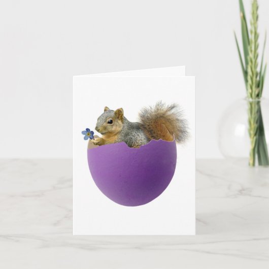Squirrel in Eggshell Card Feiertagskarte (Vorderseite)
