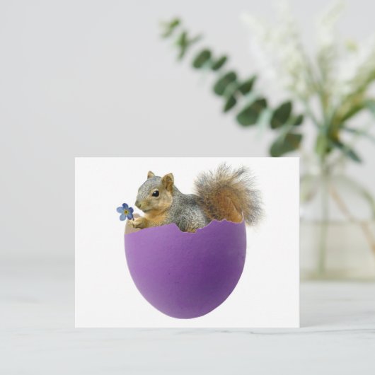 Squirrel in Eggshell Postcard Postkarte (Stehend Vorderseite)