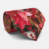 Squirrel in red autumn tree krawatte (Gerollt)