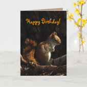 Squirrel in Sunlight Birthday Karte (Gelbe Blume)