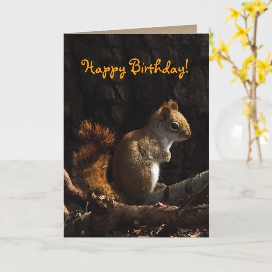Squirrel in Sunlight Birthday Karte (Gelbe Blume)