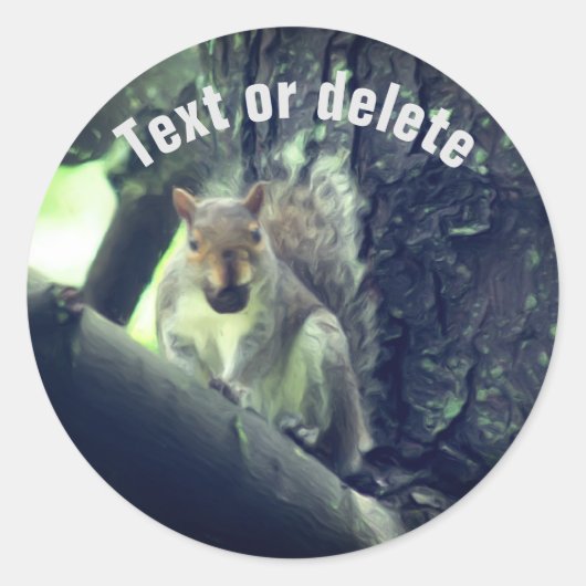 Squirrel In Tree Animal Art Personalized Runder Aufkleber (Vorderseite)