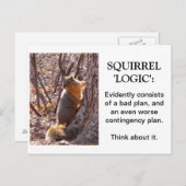 Squirrel Logic Postkarte (Vorne/Hinten)
