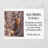 Squirrel Logic Postkarte (Vorderseite)