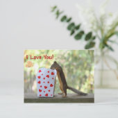 Squirrel Looking Inside Heart Box, "I Love You" Postkarte (Stehend Vorderseite)