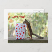 Squirrel Looking Inside Heart Box, "I Love You" Postkarte (Vorne/Hinten)