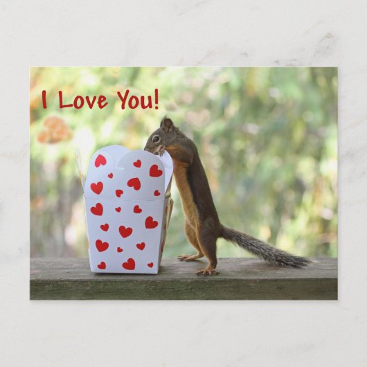 Squirrel Looking Inside Heart Box, "I Love You" Postkarte (Vorderseite)