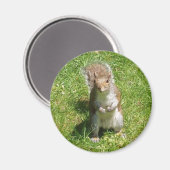 Squirrel Magnet (Vorderseite/Rückseite)