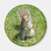 Squirrel Magnet (Vorne)