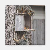 Squirrel Magnet (Vorne)