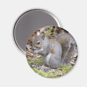 Squirrel Magnet (Vorderseite/Rückseite)