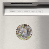 Squirrel Magnet (In Situ (Geschirrspüler))