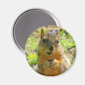Squirrel Magnet (Vorderseite/Rückseite)