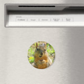 Squirrel Magnet (In Situ (Geschirrspüler))