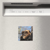 Squirrel Magnet (In Situ (Geschirrspüler))