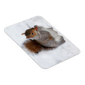 Squirrel Magnet (Rechte Seite)